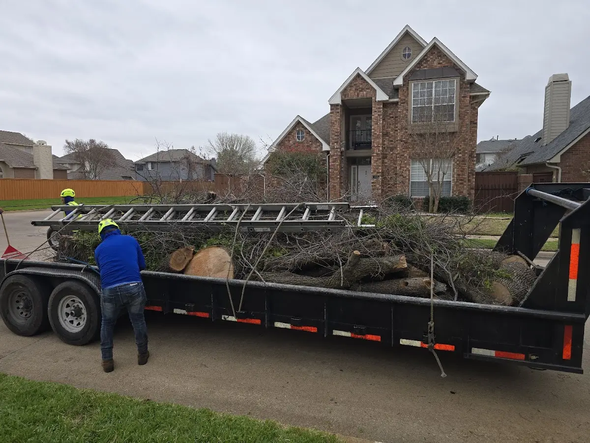 Expert Tree Pest Control with proper safety equipment in East Brunswick